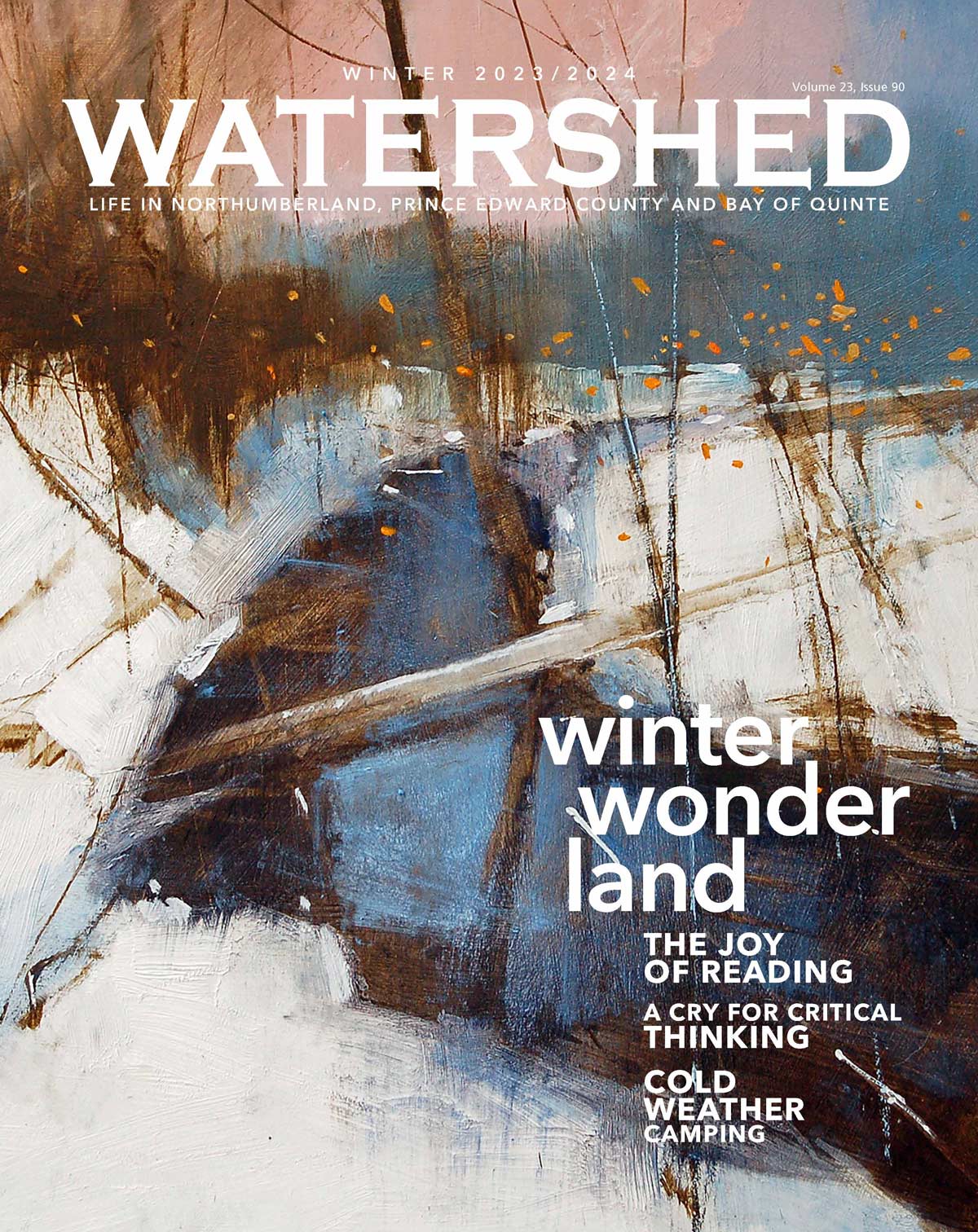 Winter Night Sky - Watershed Magazine